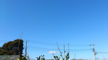 青い空’１２．１．２９.JPG